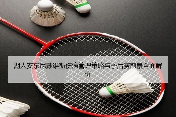 湖人安东尼戴维斯伤病管理策略与季后赛前景全面解析
