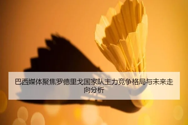 巴西媒体聚焦罗德里戈国家队主力竞争格局与未来走向分析